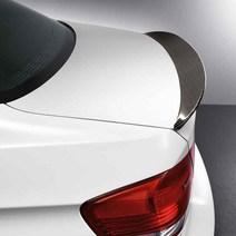 BMW X6 E71 카본 루프스포일러 도색용 글라스윙 퍼포, B TYPE (X6 카본 루프스포일러)