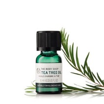 더바디샵 티트리 오일 10ml(null), 1, 10