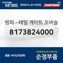 범퍼-테일 게이트 오버슬램 (8173824000) 현대모비스 부품몰 그랜저/다이너스티 그랜저XG 그랜저TG