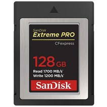 SanDisk 익스트림 프로 CF익스프레스 카드 타입 B 128GB(SDCFE-128G-GN4NN), Card Only_64GB