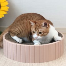 리필추가증정 고양이 스크래쳐 냥모나이트 캣모나이트 대형, TYPE_02, 화이트_ L (대)