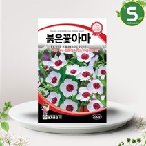 솔림텃밭몰 붉은꽃아마씨앗 200립 꽃아마 꽃씨앗 종자, 단품