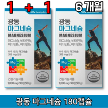 마그네슘 비타민 B1 B2 B6 내몸 필수 영양성분 하루권장량 90정 2통 6개월분