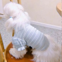 clever pet 반려동물 강아지 니트상의, 스카이블루