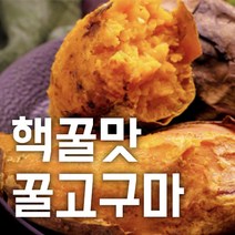 [한가락]새벽시장 직배송 국내산 꿀 고구마 특상 한입 10kg, a.한입 사이즈 1.5kg