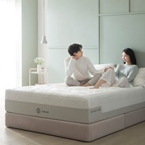 지누스 클라우드 럭스 메모리폼 매트리스 35cm/킹, 없음