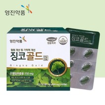 영진약품 혈행개선영양제 징코 골드 은행잎 추출물 영양제 플라보놀 60캡슐 기억력 개선 에도움 GINKGO 수험생선물