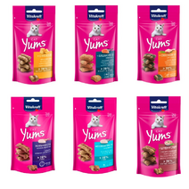 비타크래프트 캣얌 40g 오션피쉬 치즈 캣그라스 고양이마약간식, 골든레드피쉬