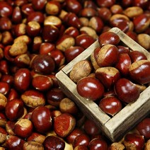 햇밤 달달한 삼조생 밤 알밤 대 3kg 칼집없음