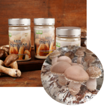 송화버섯 가루 100g 송화고버섯 송화버섯 요리 건조버섯 백화고 송향버섯