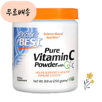 닥터스베스트 퓨어 비타민C 가루 분말 250.g 8개월분, 1개