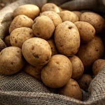 [자연맛남] 제주직송 포슬포슬 노지감자 5kg (대), 상세 설명 참조