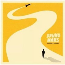 브루노 마스 엘피 LP 바이닐 Vinyl 1집 Doo Wops Hooligans, 기본