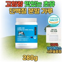 초유 단백질 프로틴 가루 분말 파우더 고단백 보충제 음료 쉐이크 마시는 맛있는 20대 30대 40대 운동 전 후 성인 어른 분유 가성비 프로틴 portein 섭취 보충 BCAA