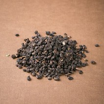국산 오가피열매 100g 오가피, 12ZN_국산 오가피열매 100g