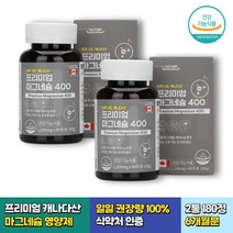 일일 권장량 100% 마그네슘 미네랄 90정 2통 6개월분 캐나다산 프리미엄 산화 부모님 어린이 키즈 40대 50대 60대