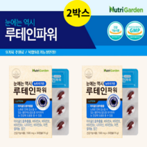 황반변성영양제 마리골드꽃추출물 빌베리추출물