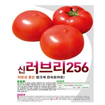아시아종묘 토마토종자씨앗 대왕토마토 (100립)