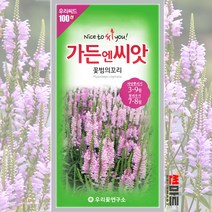 꽃범의꼬리 씨앗 50립 / 꽃범꼬리 피소스테기아 다년생 야생화 노지월동 봄 가을 꽃씨