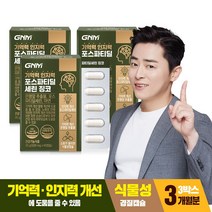 [1박스당 1개월분] GNM 기억력 인지력 포스파티딜세린 징코 / PS 은행잎추출물 두뇌건강, 3박스, 60캡슐