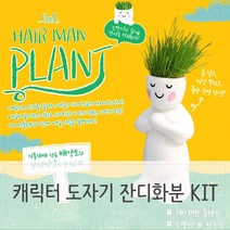 BYK191009인테리어식물 미니 캐릭터 도자기 잔디화분 소형, 본상품선택