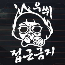 제제데코 초보운전스티커 우쒸 접근금지, 반사, 1개