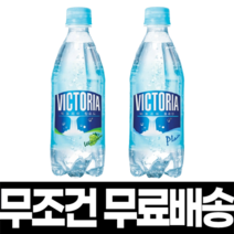 빅토리아 탄산수 탄산음료 청포도 플레인 500ml 2+1 3박스 60페트, 청포도 x 40개 + 플레인 x 20개