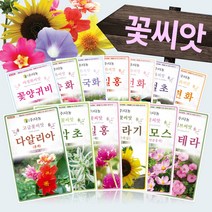 꽃 야생화 고급화훼종자 희귀 씨앗모음전 - 한련화 수레국화 구절초 매발톱 다알리아 코스모스 메리골드 백일홍 꽃양귀비, CC10=트루 라벤더 1g!
