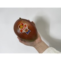 [더단프레시] 항공 직수입 페루 브라질 애플망고 2kg 4kg, 브라질 애플망고 4~5과 2kg 내외