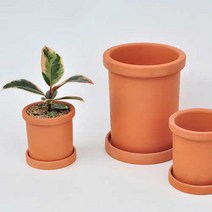 화분 토분 원형 원통형 받침세트 11cm 13cm 15cm 18cm 황토색 분갈이 포레스트인