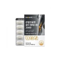 관절연골엔 옵티 엠에스엠 2000 관절 건강 연골