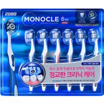 2080 모노클 프리미엄 칫솔 세트2114899 1, 6개입 x 1세트1061778