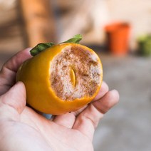 서촌 단감 4kg 10kg 고당도 태추 햇단감 부유 배단감 추석, 1개, 서촌단감 4kg 35개 내외