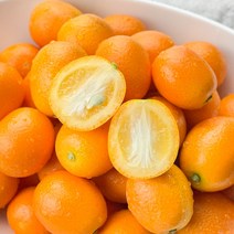 제주 낑깡 금귤 1.5kg 2.5kg 4.5kg, 제주 표선농협 금귤[중과] 4.5kg