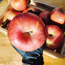 대감댁 못난이 낙과 흠과 흠집 부사 사과 10kg 쥬스용 주스용 10키로, 부사 주스용사과 10kg