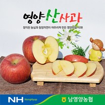 경북 영양농협 사과 꿀부사 5kg 29-30과 미세기스, 단품