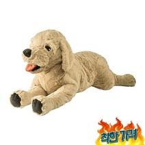 고시그 골덴 봉제 리트리버 70cm