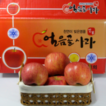 밀양 얼음골 사과 가정용 실속형 흠과, 가정용 실속형 흠과 10kg 대과 (28~31과)