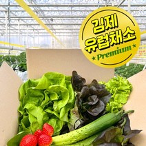 야채24닷컴 잎로메인 상추 3.6kg-4kg, 1개