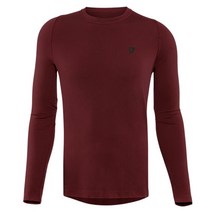 다이네스 긴팔상의 HGL MOSS LS BO