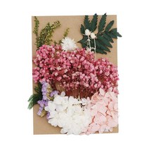 Royalways 1 세트 혼합 된 진짜 말린 꽃 마른 잎 diy 스크랩북 공예 카드 만들기 공예 책갈피 웨딩 전화 커버 쥬얼리, 5-12CM, 분홍
