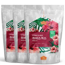 건강한우리집비옴 터키산 히비스커스꽃차 300g, 100g, 3개