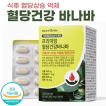 식후 혈당 상승 억제 엔 프리미엄 혈당건강 바나바 리프 영양제 바나바잎 추출물 코로솔산, 1개, 60정