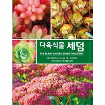 다육식물 세덤:, RGB