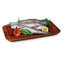 (강)[우리참바다] 국내산 반건조 통민어 5팩+편민어 5팩, 단일옵션