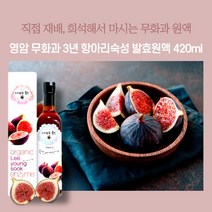 민트팬트리 영암 무화과 3년 항아리숙성 발효원액 420ml 직접재배한 마시는 무화과 원액