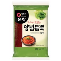 GT 청정원 순창 양념듬뿍 쌈장 500g, 1