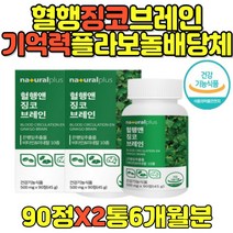 중년영양제 기억력향상 혈행건강 은행잎 건조효모 단어 색채 비타민b군 뇌건강 부모님 할머니 할아버지 50대60대70대80대