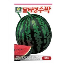 달타령수박 200립 달타령수박씨 달타령수박종자 달타령수박씨앗