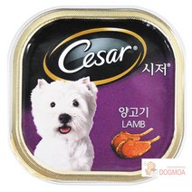 출산 임신 수출 과체중 시츄 습식사료 24캔 치아약한 부드러운 입맛나는 노견 여행